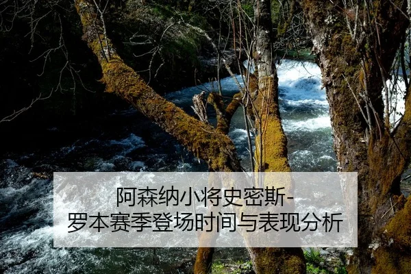 阿森纳小将史密斯-罗本赛季登场时间与表现分析